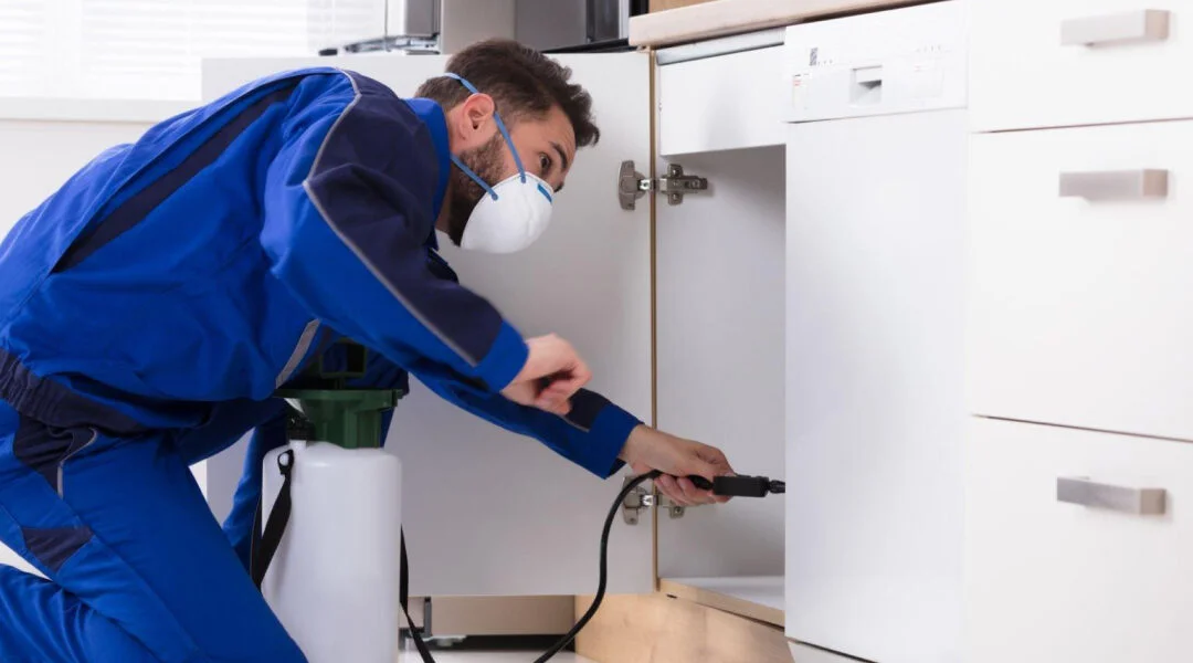 <p>Fumigation and Pest Control Service</p>